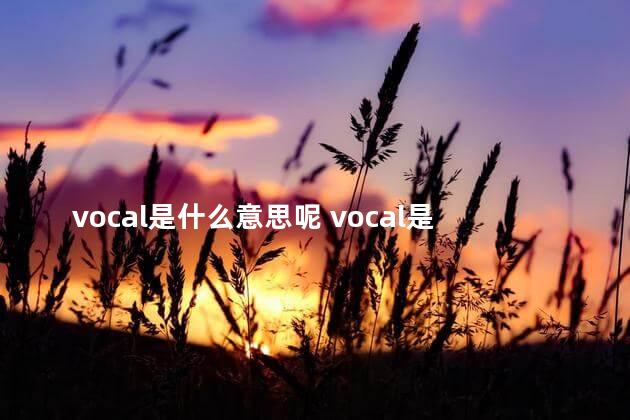 vocal是什么意思呢 vocal是主唱吗